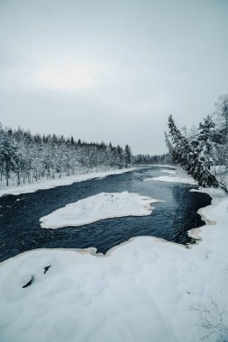 Yarı donmuş kutup nehri Rovaniemi, Laponya 'daki karlı ormanda.