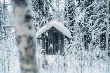 Karlı kış ormanlarındaki ahşap kulübe Rovaniemi, Laponya 'daki kutup çöllerinde.