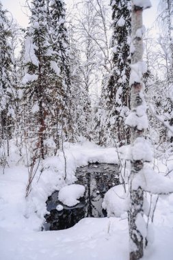 Kışın Rovaniemi, Laponya 'da, ormanda, karda buzlu su birikintisi.