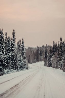 Karlı Lappish Ormanı 'nda Rovaniemi, Laponya' da gün doğumunda yol alıyoruz.