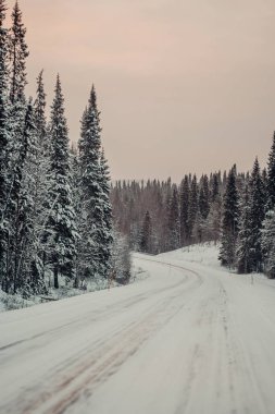 Kışın pembe gündoğumu altında Rovaniemi 'de gökyüzü, Laponya' da karlı yolda araba sürmek