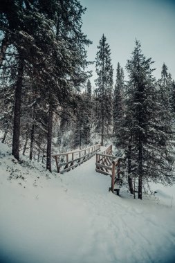 Kışın Laponya, Korouoma Kanyonu 'ndan geçen karlı köprü.