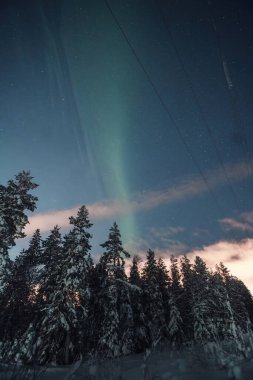 Rovaniemi, Laponya 'daki karlı ormanın üzerindeki yıldızlı gökyüzünde sönük bir aurora.