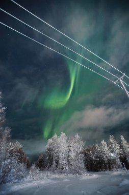 Kuzey ışıkları Rovaniemi, Laponya 'daki karlı ormanın üzerinde yeşil patlama