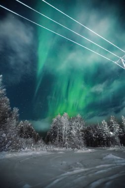 Kuzey ışıkları Rovaniemi, Laponya 'da Kuzey Kutup Dairesi' nde