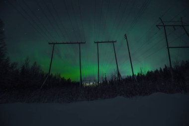 Gökyüzündeki parlak yeşil ışıklar Rovaniemi, Laponya 'daki sütunların arkasında