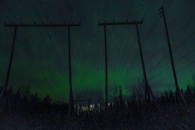 Gökyüzünde yeşil kuzey ışıkları Rovaniemi Lapland kırsalındaki sütunların arkasında