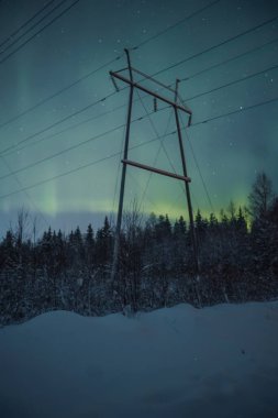 Rovaniemi, Laponya 'daki sütunun arkasındaki karlı ormanın üzerindeki yeşil aurora.