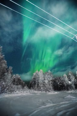 Rovaniemi, Laponya 'da kış harikalar diyarı üzerinde Aurora borealis