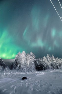 Kuzey Kutbu 'ndaki karlı ormanın üzerinde, Laponya, Rovaniemi' de Aurora borealis.