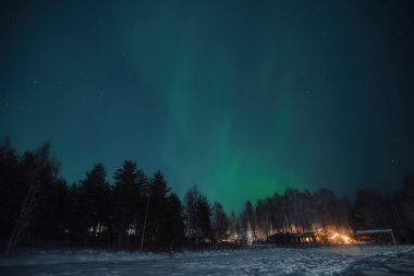 Kuzey ışıkları gece gökyüzünde Rovaniemi, Laponya 'daki karanlık ormanın üzerinde