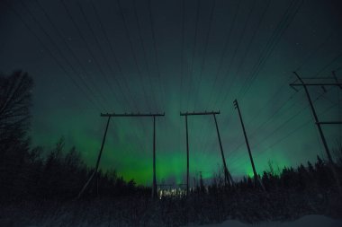 Gökyüzünde parlak yeşil aurora borealis Rovaniemi, Laponya 'da sütunların arkasında