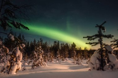 Kuzey ışıkları Rovaniemi, Laponya 'nın dışındaki karlı ormanın üzerinde.