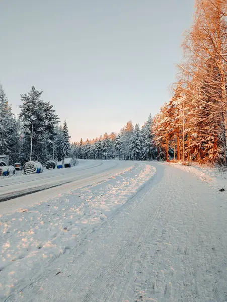 Karlı cadde ormanın içinden gün doğumunda Rovaniemi, Laponya 'da