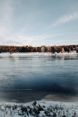 Ounasjoki nehri boyunca Rovaniemi, Laponya 'daki sonbahar ormanlarına bakın.