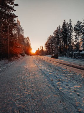 Güneş, Rovaniemi, Laponya 'da karlı ormanın üzerinde yükseliyor