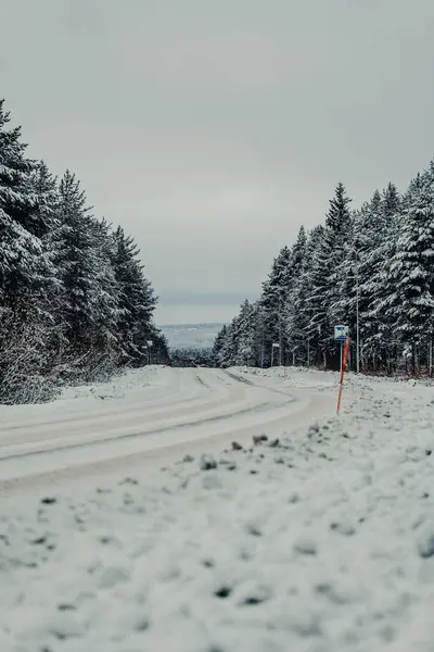 Laponya, Rovaniemi 'deki Syvasenvaara Mahallesi' nden geçen karlı cadde.