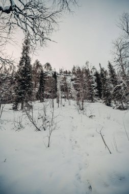 Korouoma Kanyonu, Laponya 'daki donmuş şelaleye uzanan dik yamaçlar.
