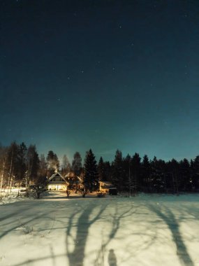 Karlı kış ormanlarında gökyüzü yıldızlı Rovaniemi, Laponya