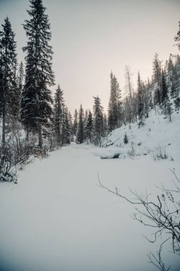 Donmuş nehir, Korouoma Kanyonu, Laponya 'da altın saat.
