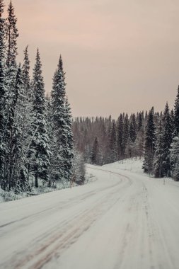 Kışın pembe gündoğumu altında Rovaniemi 'de gökyüzü, Laponya' da karlı yolda araba sürmek