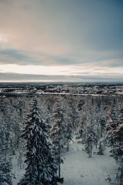 Laponya 'nın Ounasvaara kentindeki karlı kış ormanlarından Rovaniemi şehrinin ufuk çizgisi manzarası