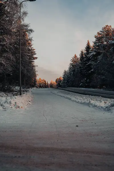 Kışın şafak vakti Laponya 'da Rovaniemi' deki Karlı Sokak