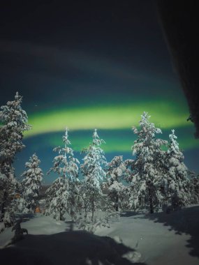 Rovaniemi, Laponya 'daki karlı kış ormanlarının üzerinde güçlü aurora borealis.