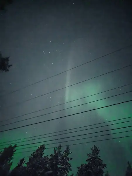 Rovaniemi, Laponya 'daki Syvasenvaara bölgesinde elektrik hatlarının arkasındaki Aurora borealis.
