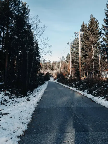 Sonbaharda kar ormanlarında yol Rovaniemi, Laponya 'da