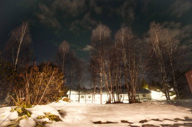 Rovaniemi, Laponya 'da sonbaharda karlı bahçede yıldızlı gökyüzü