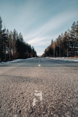 Sonbaharda Laponya, Rovaniemi 'de Syvasenvaara' dan geçen yol