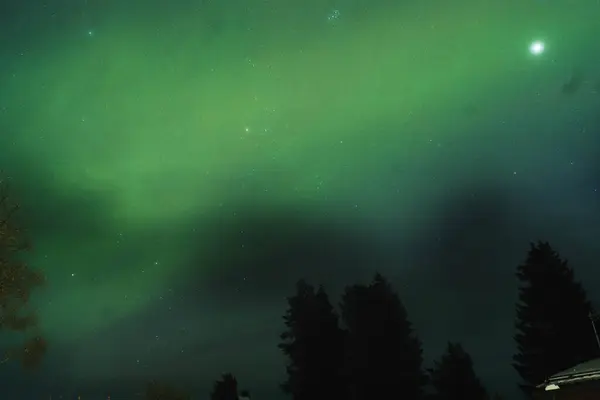 Yeşil aurora borealis Rovaniemi, Laponya 'da yıldızlı gökyüzünde