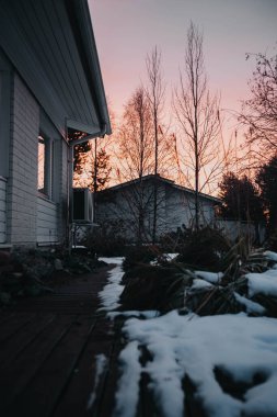 Rovaniemi, Laponya 'daki evin yanındaki ağaçların arkasında gün doğumu pembe gökyüzü