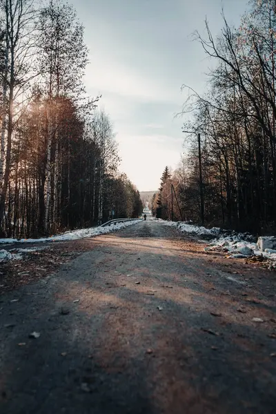 Rovaniemi, Laponya 'da Syvasenvaara yolunda portakal yaprakları ve biraz kar.