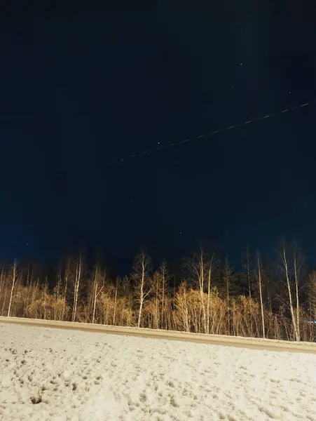 Rovaniemi, Laponya 'da sonbaharda ormanın üzerinde yıldızlı gökyüzü