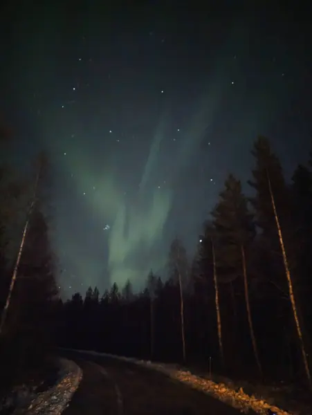 Yıldızlı gökyüzünde Aurora Rovaniemi 'de, sonbaharda Laponya' da