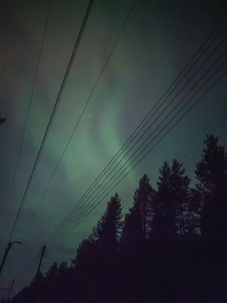 Rovaniemi, Laponya 'daki orman ve elektrik hatlarının üzerindeki sönük aurora borealis.
