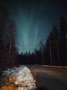 Kuzey ışıkları Rovaniemi 'de, sonbaharda Laponya' da, ormanın üzerinde yıldızlı gökyüzünde