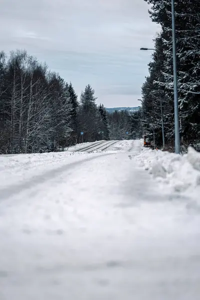 Syvasenvaara 'daki ormandan geçen karlı yol Rovaniemi, Laponya
