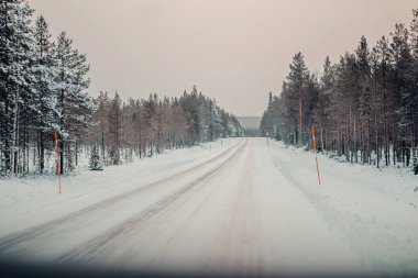 Karlı kucak ormanlarında şafak vakti Rovaniemi 'de, kışın Laponya' da