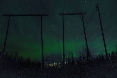 Gökyüzünde yeşil kuzey ışıkları Rovaniemi Lapland kırsalındaki sütunların arkasında