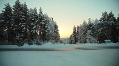 Rovaniemi, Laponya 'daki Syvasenvaara' da karlı yol ve orman üzerinde gün doğumu, kış