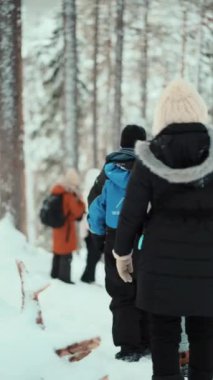30 Kasım 2023 'te Korouoma Kanyonu, Finlandiya' da çekildi..