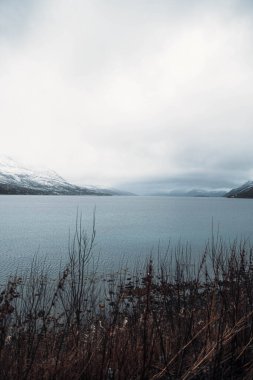 12 Kasım 2022 'de Norveç' in Tromso şehrinde çekildi.
