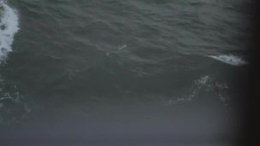 18 Ekim 2023 'te Tallinn, Estonya' da Helsinki 'den buraya yapılan bir günlük gezide çekildi..