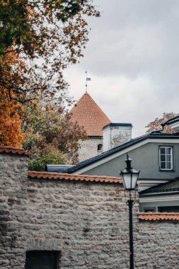 Tallinn, Estonya 'da eski şehrin çatıları bulutlu gökyüzünün altında