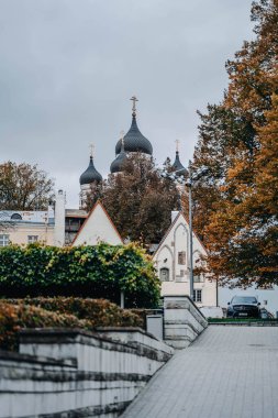 Alexander Nevsky Katedrali Tallinn, Estonya 'daki sonbahar ağaçlarının tepesinde.