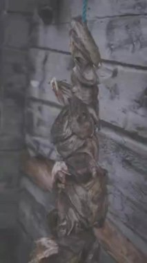 Norveç, Tromso 'daki balıkçı köyünde ahşap kulübenin yanında ölü balık asılı.