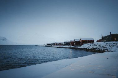 Longyearbyen 'de evler, Svalbard Kuzey Buz Denizi kıyısında